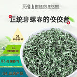 Top Grade Biluochun Pre Qingming New Tea Authentic High Mountain 100g