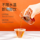 Strawberry Black Tea Triangle Tea Bags Ceylon Loose Leaf Cold Brew Tea