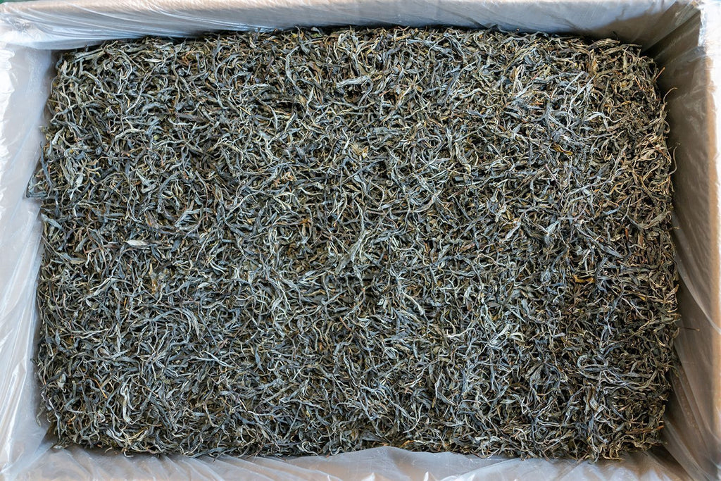500g Icelandic Damnuo Ancient Pu-erh Raw Tea Honey Orchid Aroma Sun Green Tea