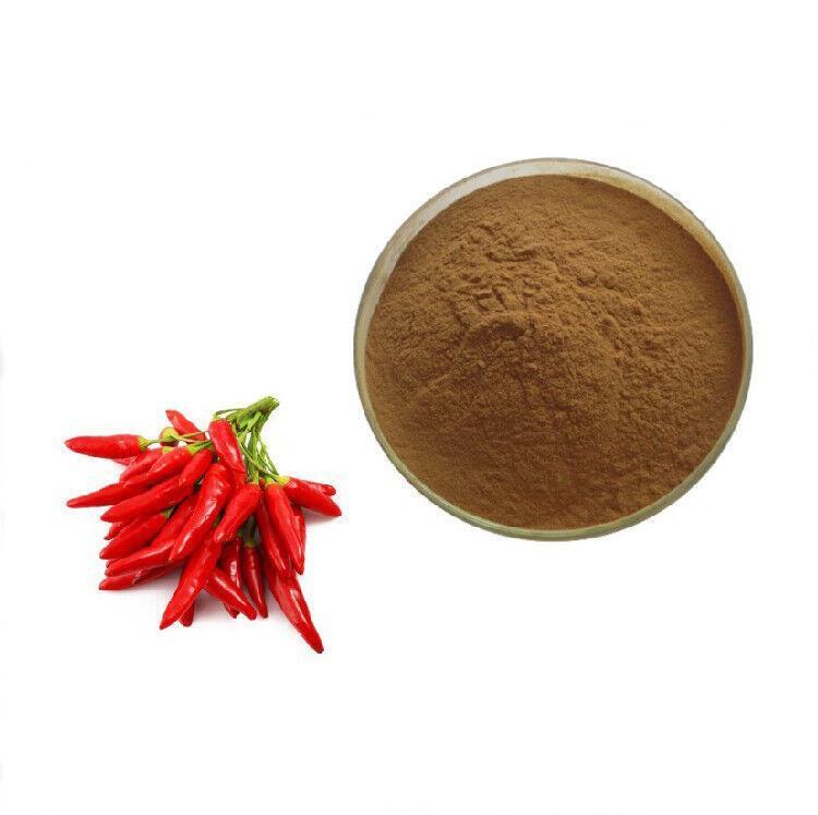 100g Organic Red Chilli Pepper 20:1 Extract Powder – Capsaicin, No Fillers Main image