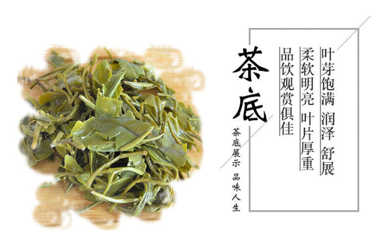 Rizhao Green Tea New Tea Strong Fragrance and Brewing Resistance 500g/1.1lb