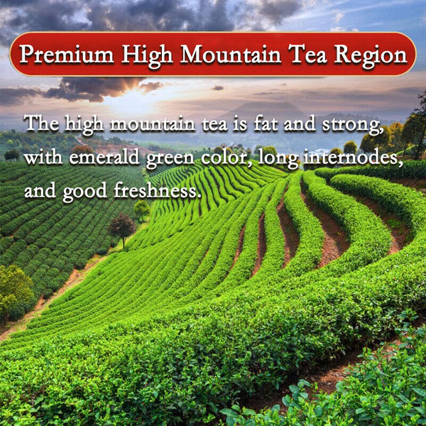 Milk Oolong Tea Super High Mountain Fragrant Green Tea Diet Tea CN Health Care