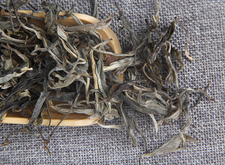 500g Pu-erh Raw Tea Loose Tea 凤凰山古茶园头春凤凰窝散普