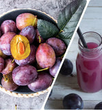 150g Prune Fiber Fruit Drink Juice Dietary Fiber Fruit Vegetable Enzyme Drink
