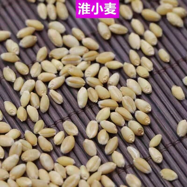 Floating WheatWhite Products Agricultural ProductsChinese Medicinal Herbs 500g