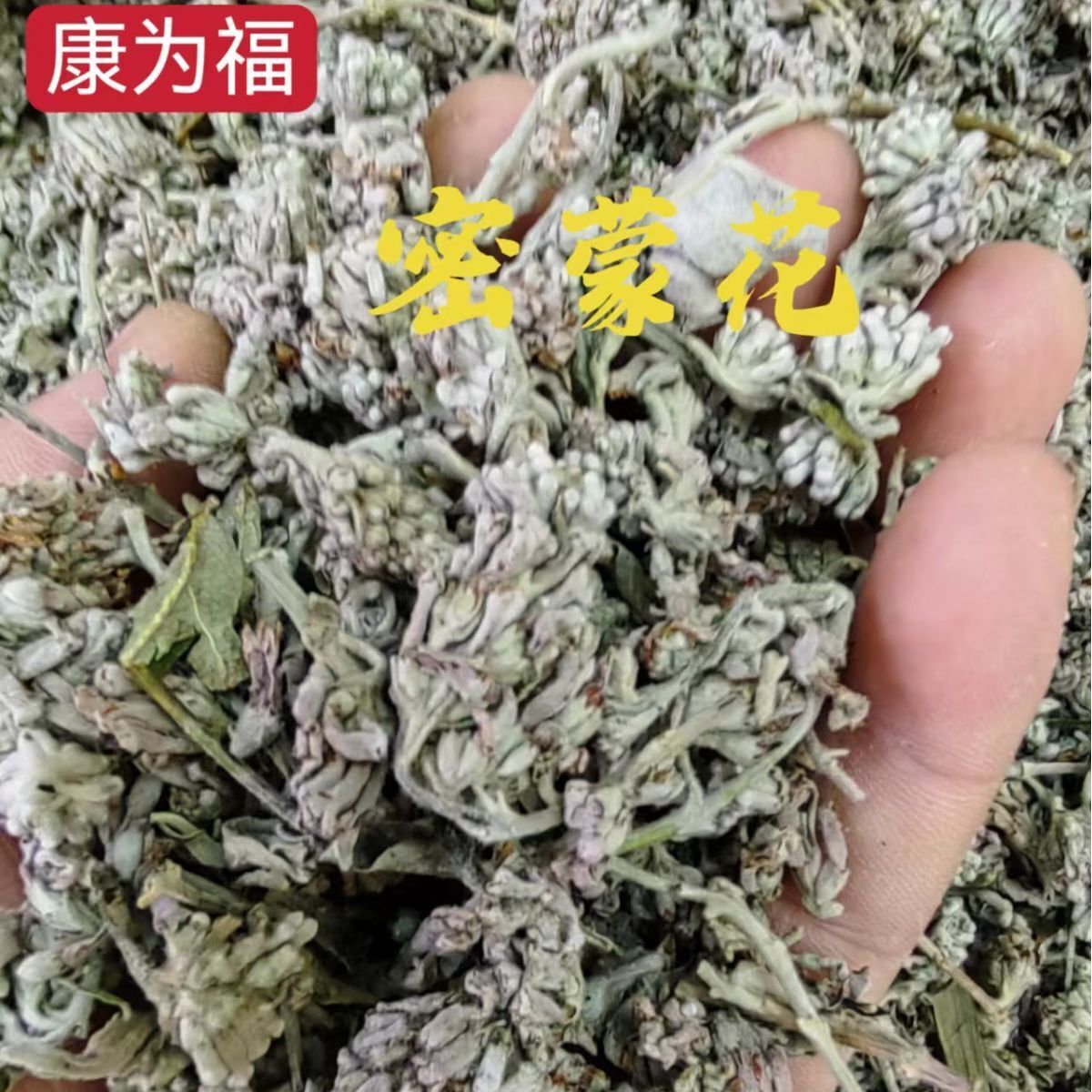 Premium Honey Flower Dried Chinese Medicinal Herb New Stock Main image
