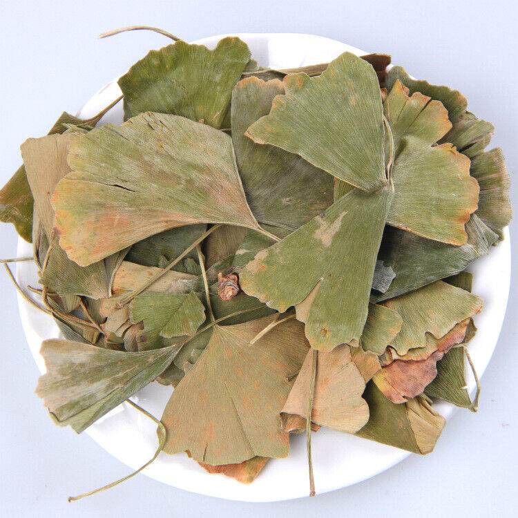 Natural Dried Gingko Biloba Tea Dry Green Gingko Healthy Herbal Gingko Tea 500g