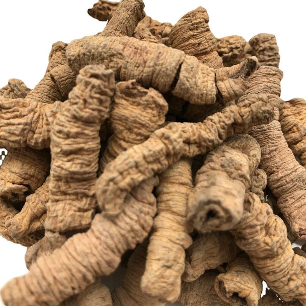 New Baji Tian Chinese Herbs Dried Baji 500g