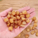 Natural Longan Fruit Dried Longan Other Fresh Fruit Longan