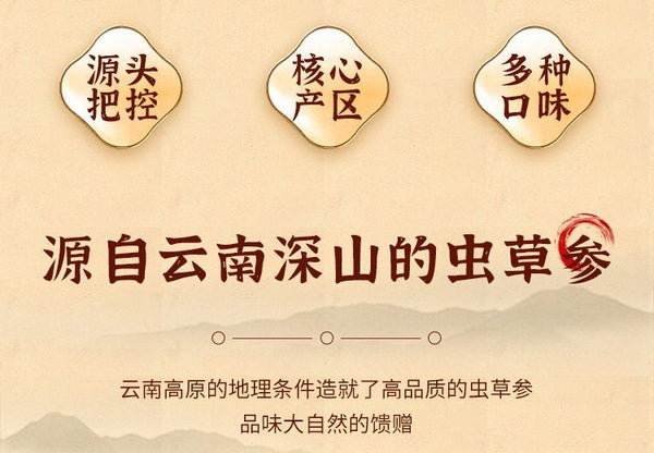 Yunnan Dried Insect Ginseng Snacks – Crispy & Ready-to-Eat for a Unique Treat
