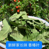 250g/ 500g Sun Dried Toon Leaves Toon Tea Fresh Leaves Dried Toon Leaves