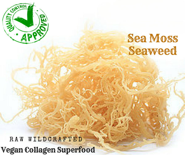 Organic Whole Leaf Irish Moss Sea Moss 8.8 Oz | Raw WildCrafted Superfood