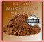 ✅ Reishi Mushroom Powder - Premium Quality Organic - QUICK POST100g