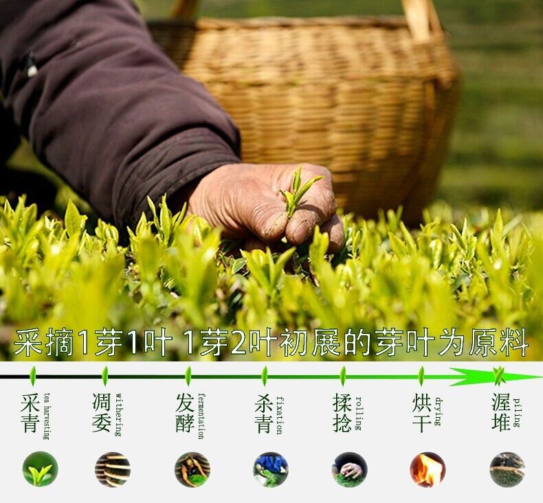 Biluochun New Tea Suzhou Dongting Biluochun Tea Leaves Spring Tea Green Tea 250g