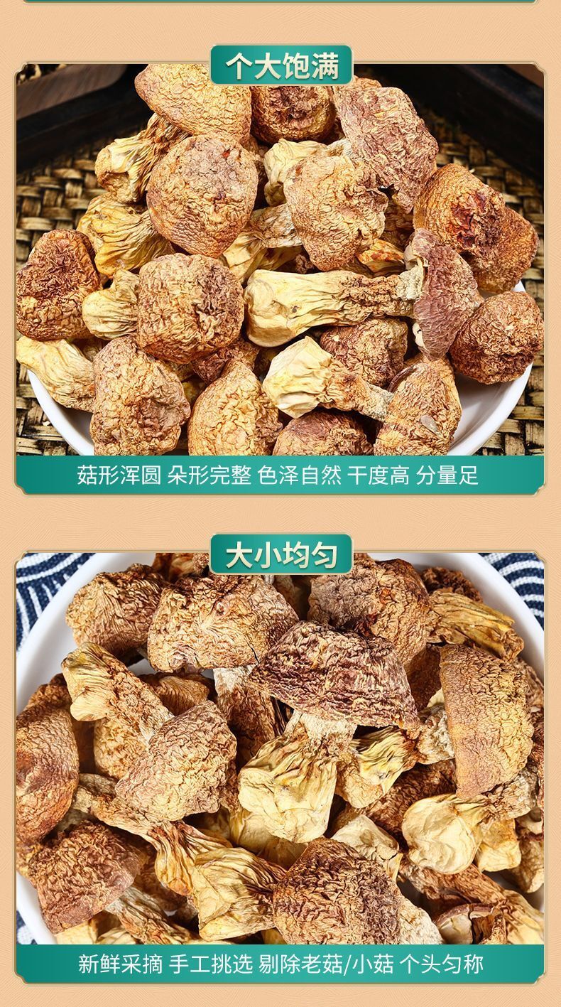 Yunnan Ji Song Rong Dried Matsutake - Sulfur-Free, for Soup