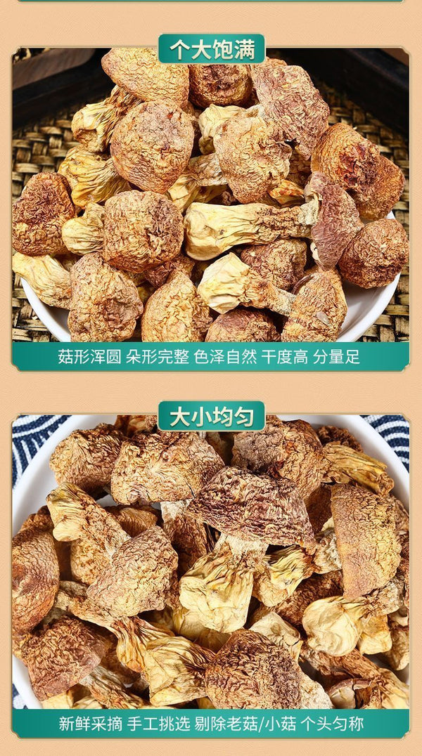 Yunnan Ji Song Rong Dried Matsutake - Sulfur-Free, for Soup