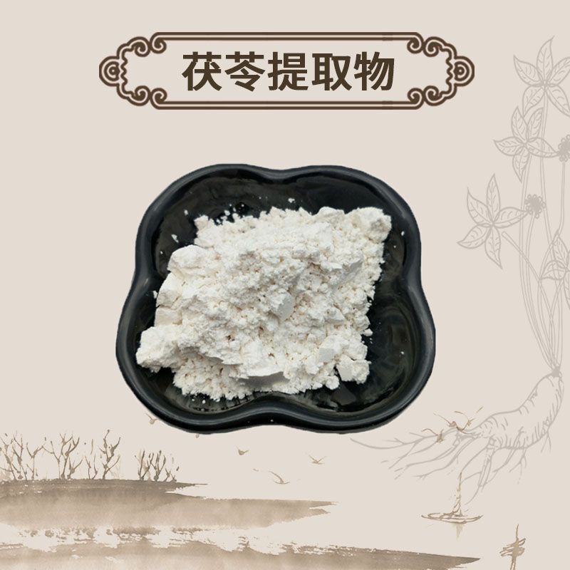 Poria Cocos Extract Powder 10:1 Fu Ling Water Soluble | Chinese Herb Main image