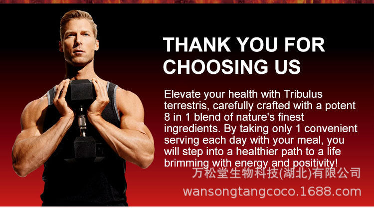 Man Power Energy Gummies männlich Maca vegan Ginseng Gummibärchen