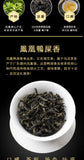 Premium Phoenix Oolong Tea Chaozhou Fragrant Smooth 500g Gift Quality