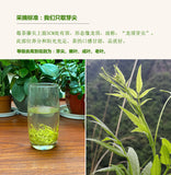 Wild Tea Buds 50g Canned Zhangjiajie Vine Tea Tujia Mao Rock Bud Tip Vine Tea