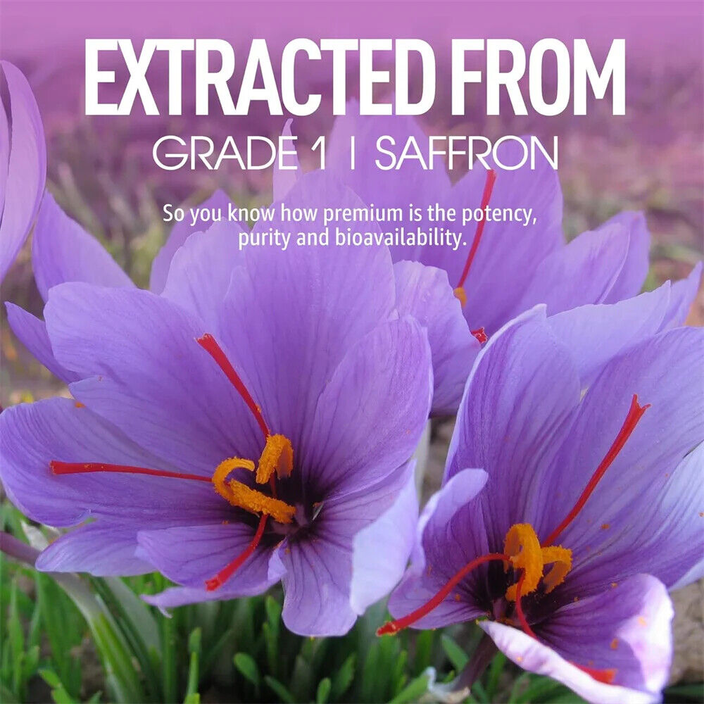 Saffron Gummies Sugar Free Rhodiola Rosea Saffron Extract Gummy Secondary image