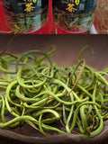 Changbai Mountain Kidney Essence Tea 50g/can Specialty of Northeast China