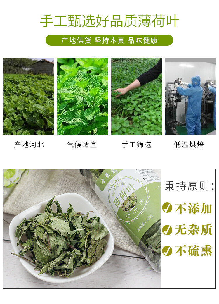 Mint Leaf Mint Tea InfusionDried Mint Leaf Blend Tea Infusion 20g