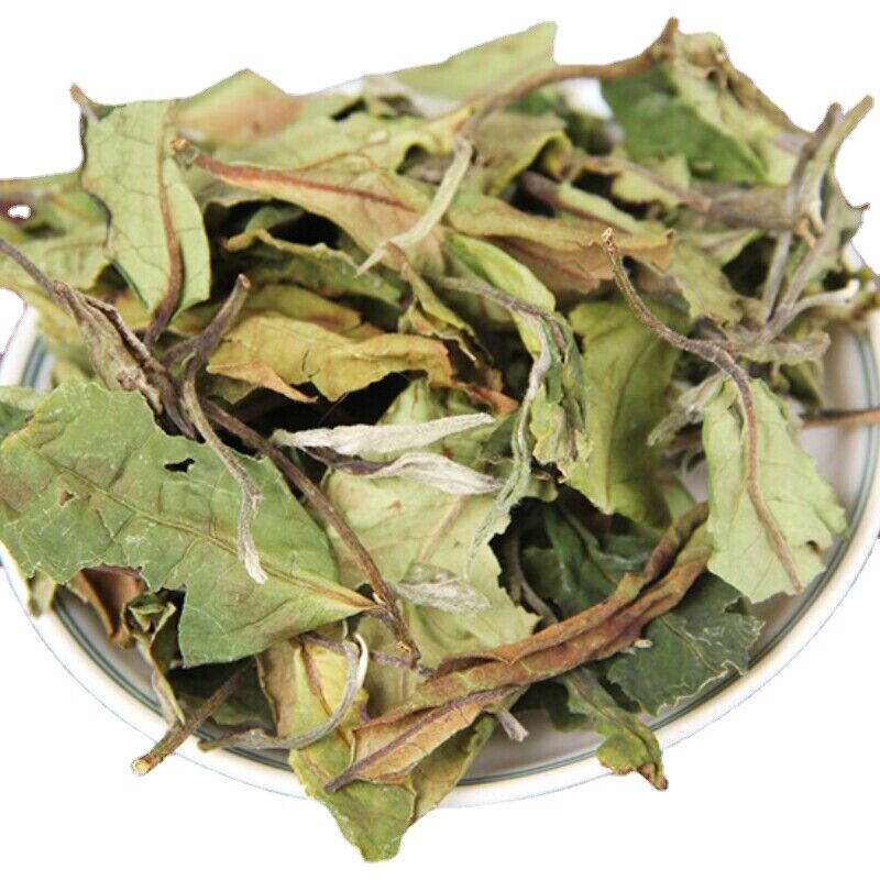 500g Bulk White Tea Top Yunnan Big Leaf Honey Flavour White Tea Health Main image