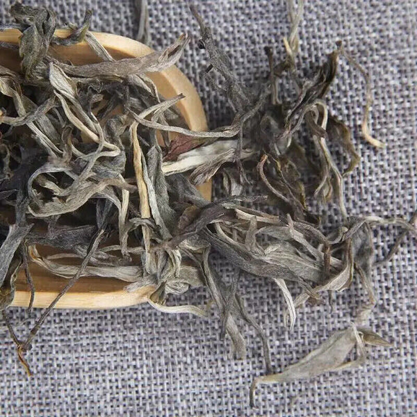 Yunnan Sheng Puerh Loose Tea From Iceland 300 Years Old Tree Raw Puer Tea 500G