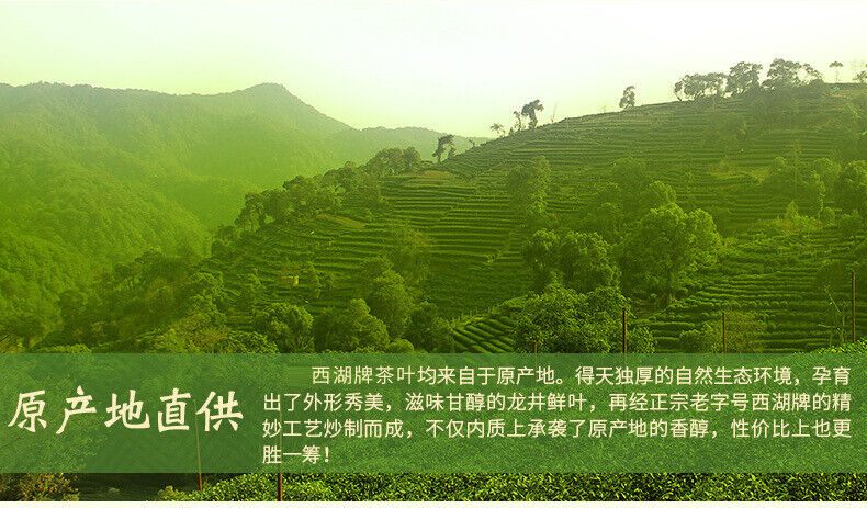Strong Aroma Longjing Tea West Lake Tea Before Rain Green Tea Spring Tea 50G