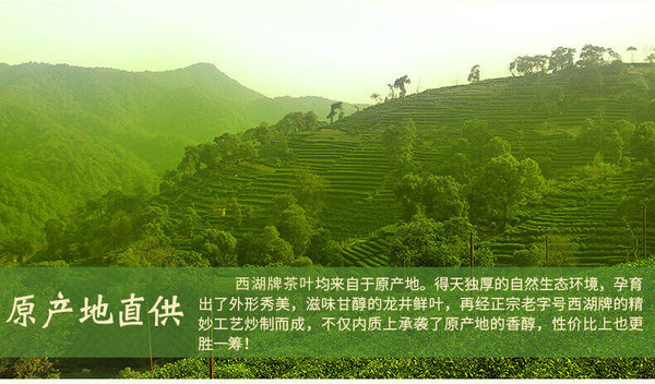 Strong Aroma Longjing Tea West Lake Tea Before Rain Green Tea Spring Tea 50G