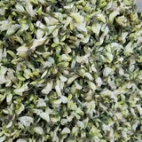 Fresh Dried Acacia FlowersDried Acacia Flowers for Cauliflower