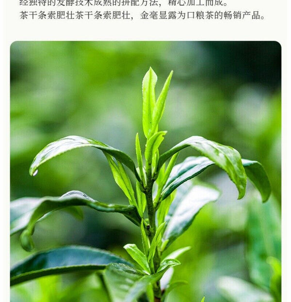 Tea Puerh Tea Black Tea Ripe Tea Natural Puerh Tea 300g/10.58oz