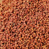 500g  Health Care Featured Natural Healthy Herbal Tea Original Chu Shi Zi 精选楮实子