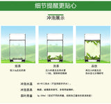 New Tea Shandong Rizhao Green Tea Rizhao Jufeng Buluo Green Tea 500g/1.1lb