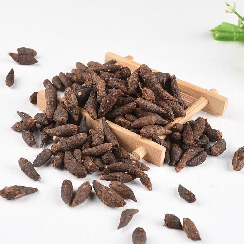 Dried Nut Grass Nutgrass Rhizoma Cyperi Rhizome Rhizoma Cyperi Xiang Fu Zi 500g Secondary image