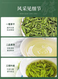 Longjing Green Tea 2025 Qiantang Early Spring Rich Aroma Refreshing Leaf Bagged