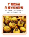 Rosa Roxburghii Fruit: Sweet & Sour Candied Snack, Bulk