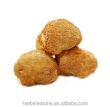 Bartzahn Affenkopf Pilz Hericium Erinaceus Bull Fr Pers 500g