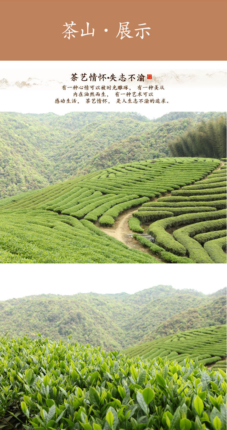Qi Lan Oolong Fujian Loose Leaf 170g New Wuyi Rock Tea