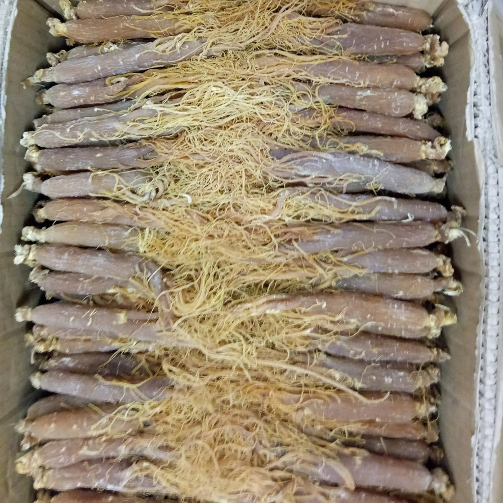 Low Sugar Red Ginseng Whole Root Changbai Mountain Ginseng 250g 10 pcs Specialty