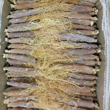 Low Sugar Red Ginseng Whole Root Changbai Mountain Ginseng 250g 10 pcs Specialty