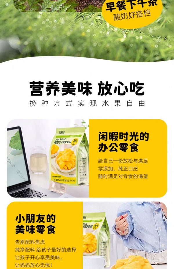 Jackfruit Dried Fruit Freeze-dried Jackfruit Casual Snacks  20G