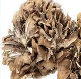 500g Natürliche getrocknete Maitake Nahrungsergänzungsmittel Grifola Frondosa