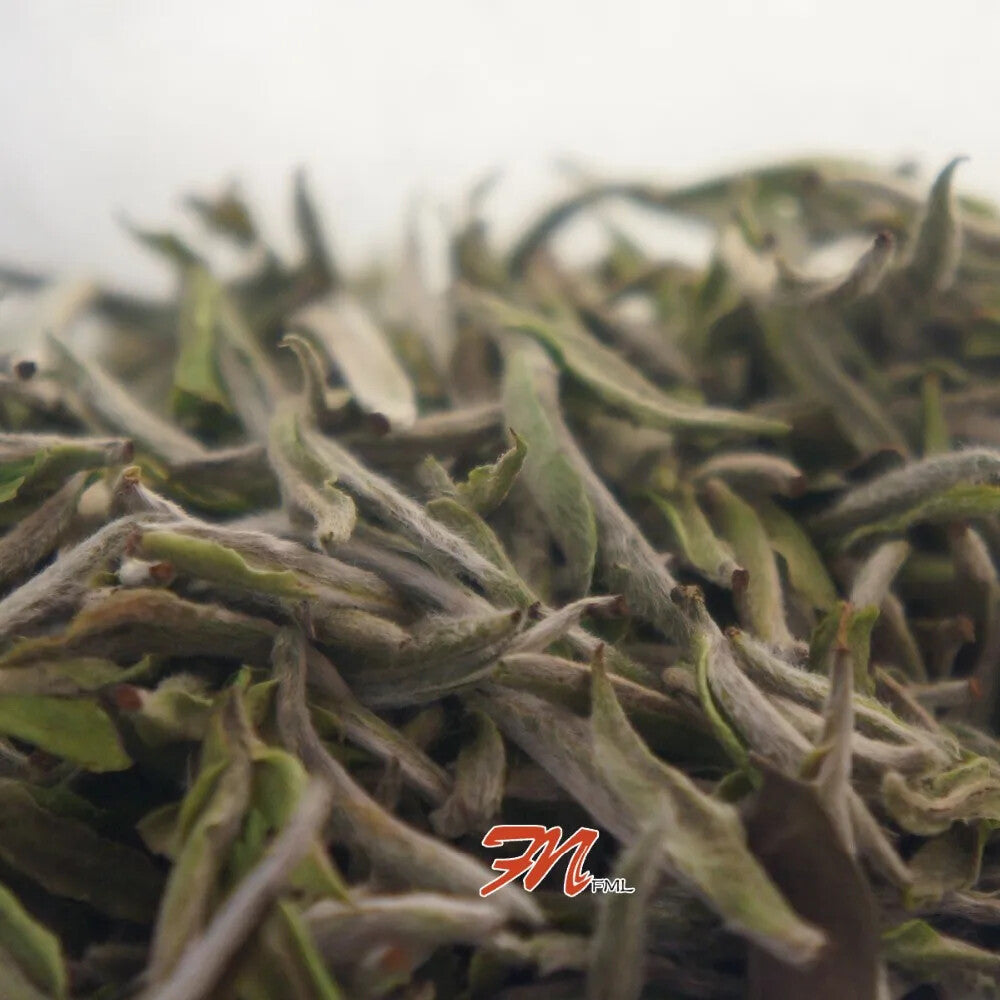 Promotion! Chinese Fujian Fuding Supreme silver needle white tea 500g 100g/bag Main image