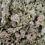 Premium Honey Flower Dried Chinese Medicinal Herb New Stock