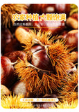 Chestnut Snack Sweet Chestnut Kernels Cooked and Instant Peeled Chestnut Meat