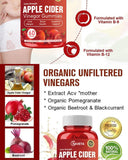 Apple Cider Vinegar Gummies Apple Cider Vinegar Gummies 60 Capsules