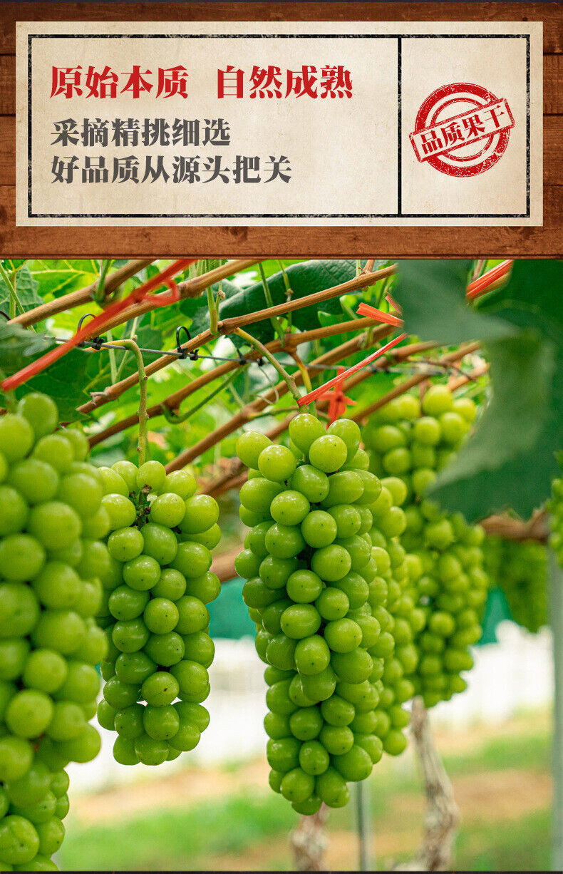 Fresh Sunshine Rose Raisin Preserved Fruits Office Snacks Additive-Free