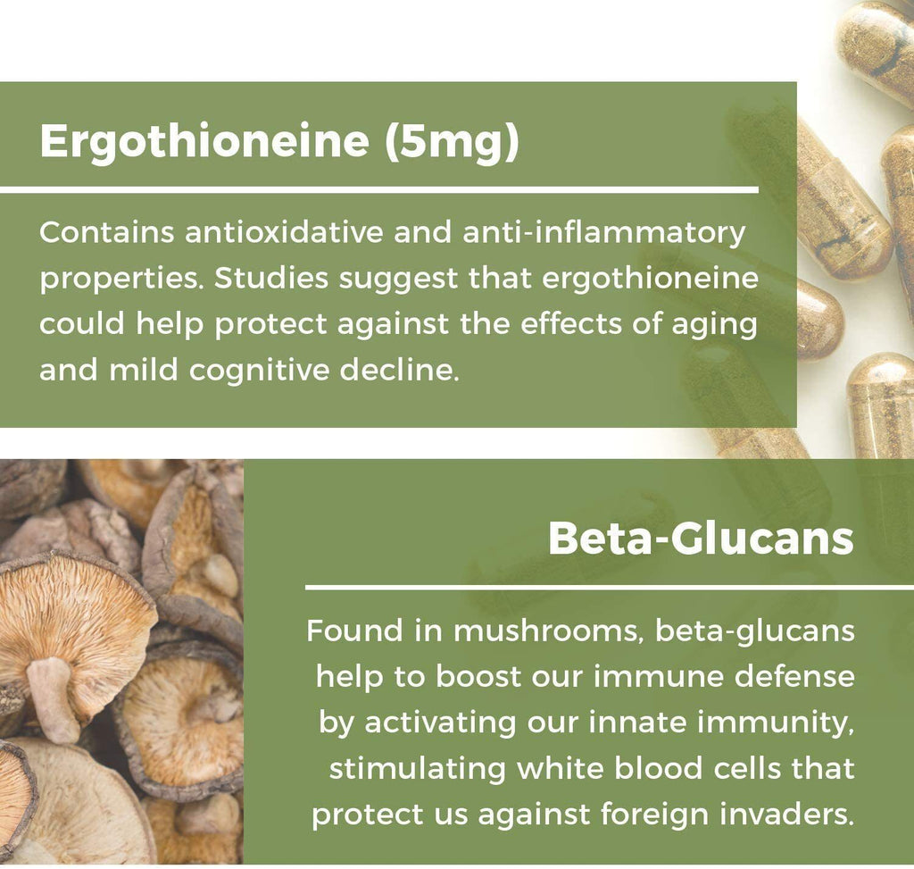 ERGO+ L-Ergothioneine Oyster Mushroom Capsule Supplement 60 Capsules
